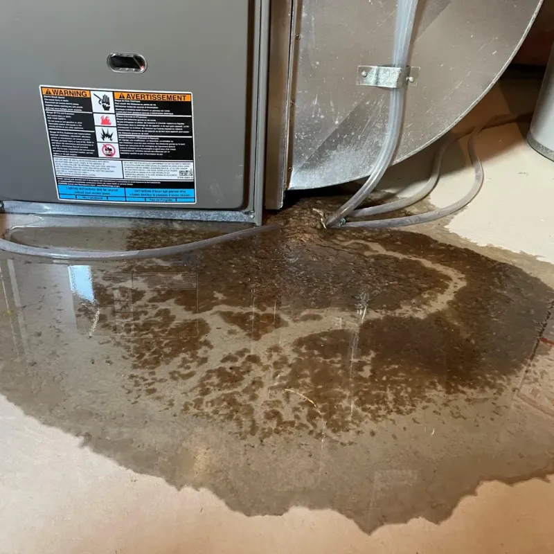 Appliance Leak Cleanup in Bethlehem, NC